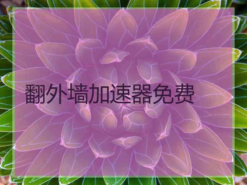 翻外墙加速器免费