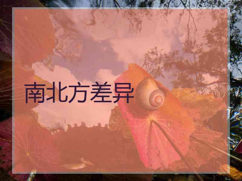 南北方差异
