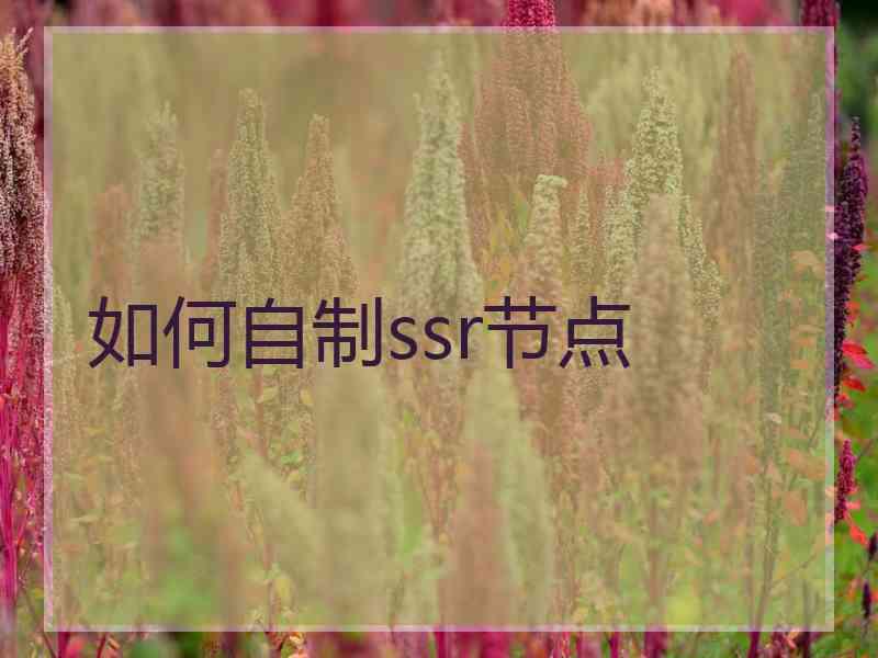 如何自制ssr节点