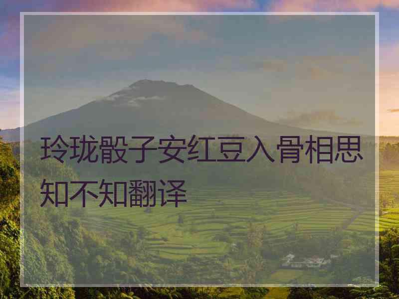 玲珑骰子安红豆入骨相思知不知翻译