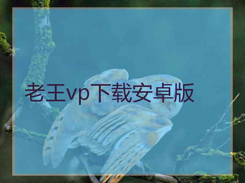 老王vp下载安卓版