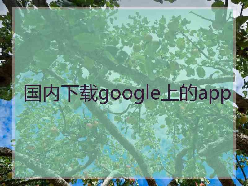 国内下载google上的app