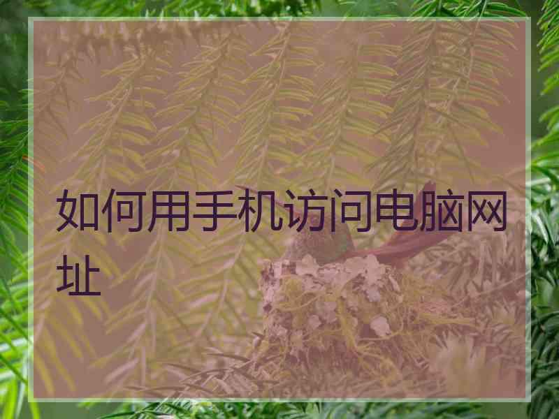 如何用手机访问电脑网址