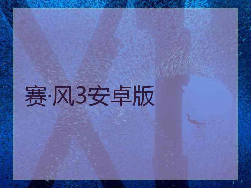 赛·风3安卓版