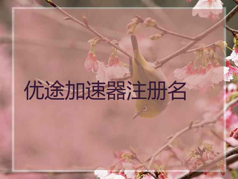 优途加速器注册名