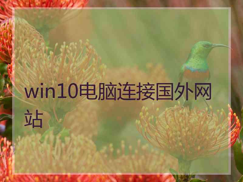 win10电脑连接国外网站
