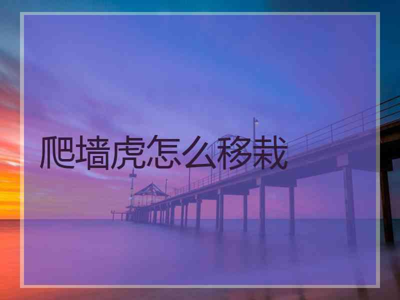 爬墙虎怎么移栽