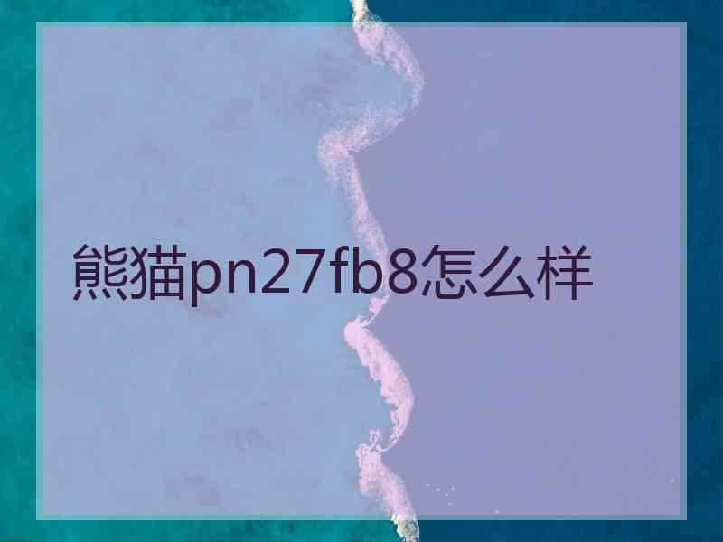 熊猫pn27fb8怎么样