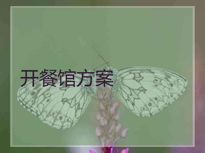 开餐馆方案