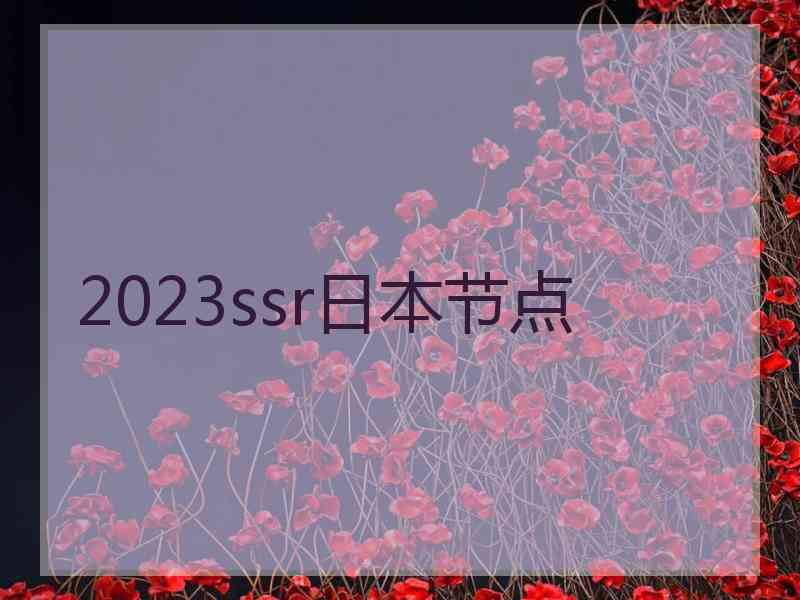 2023ssr日本节点