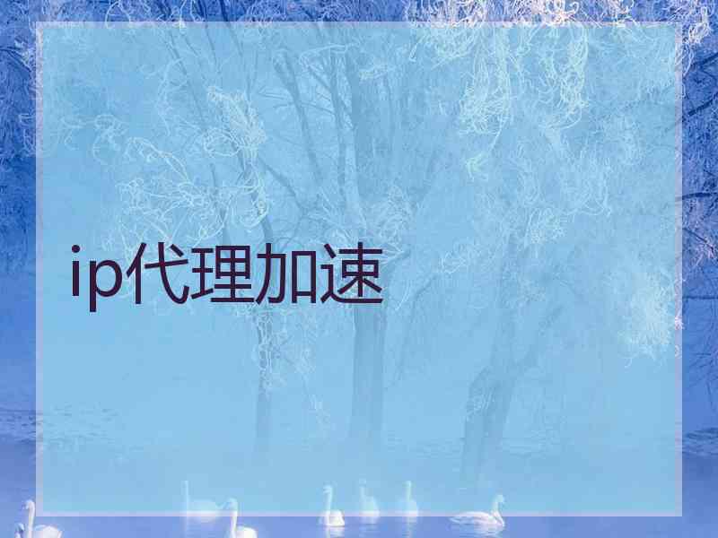 ip代理加速