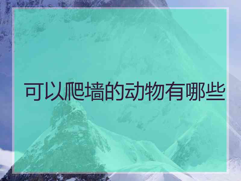 可以爬墙的动物有哪些