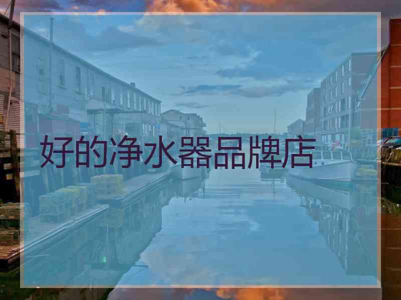 好的净水器品牌店
