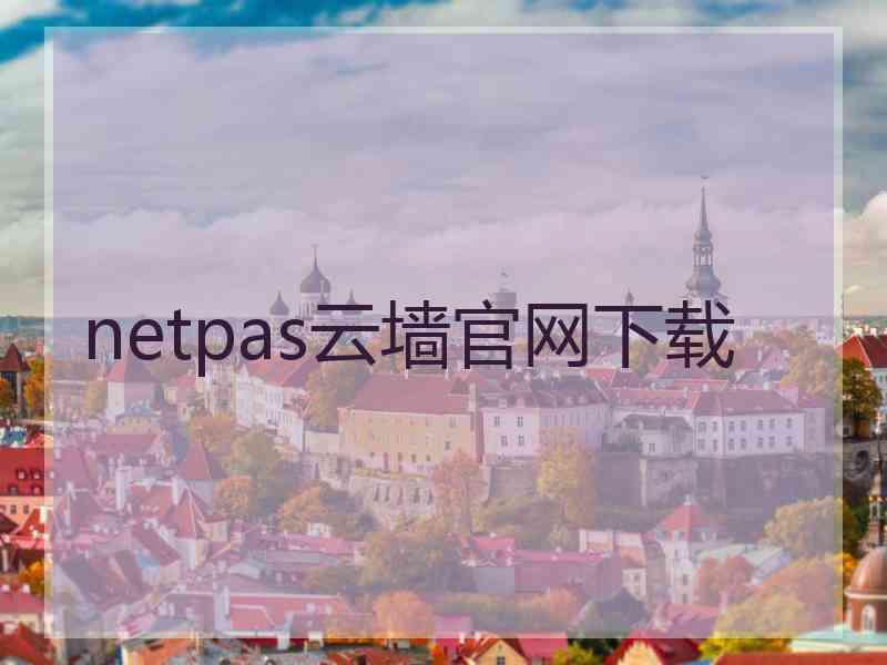 netpas云墙官网下载