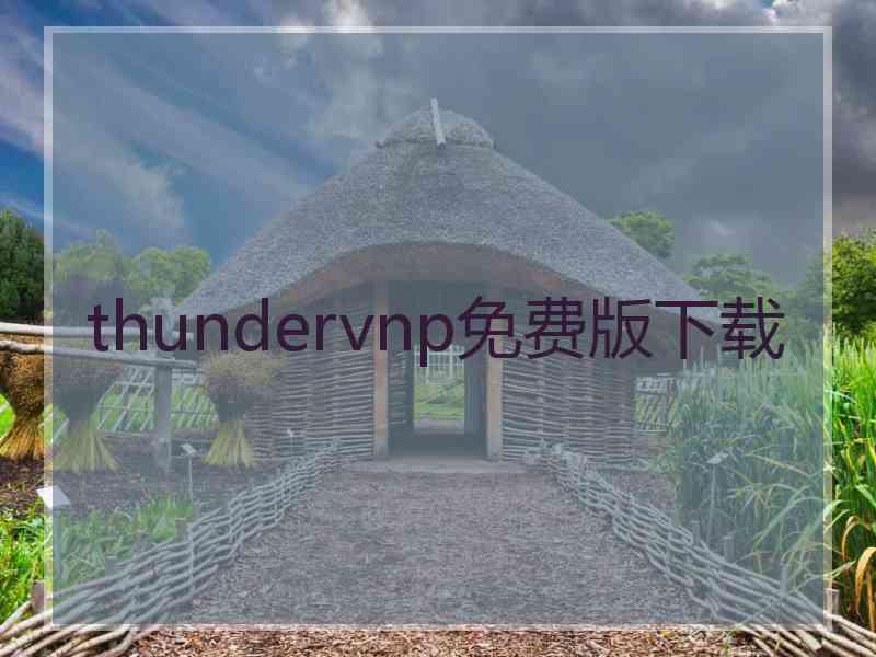 thundervnp免费版下载