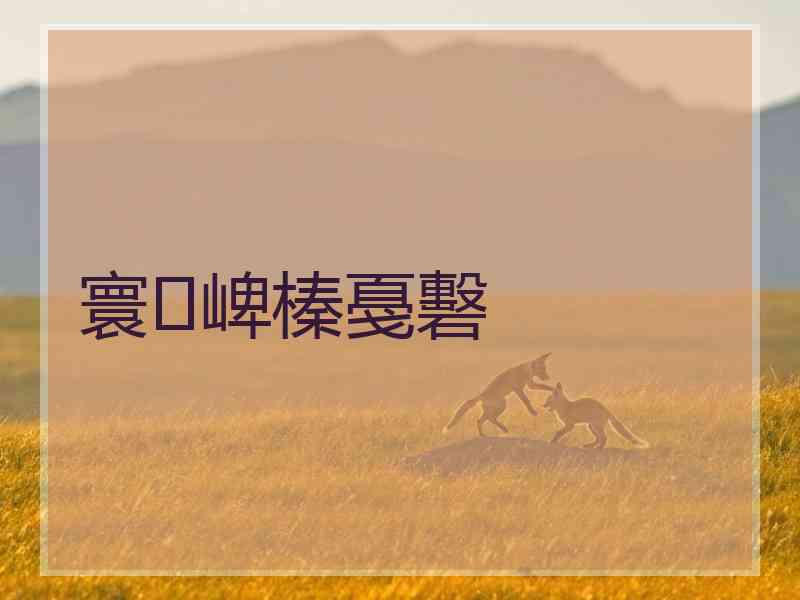 寰崥榛戞礊