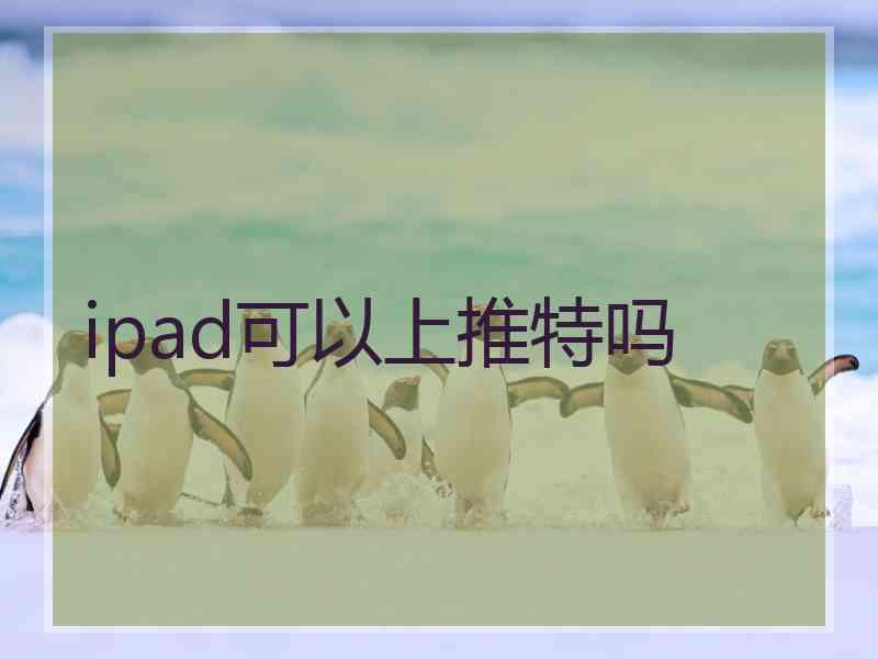 ipad可以上推特吗