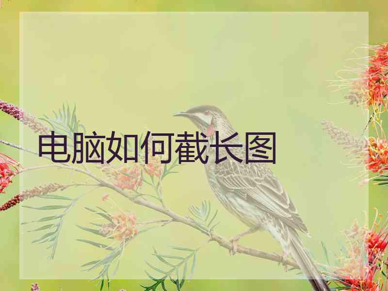 电脑如何截长图