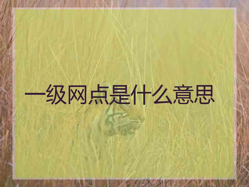 一级网点是什么意思