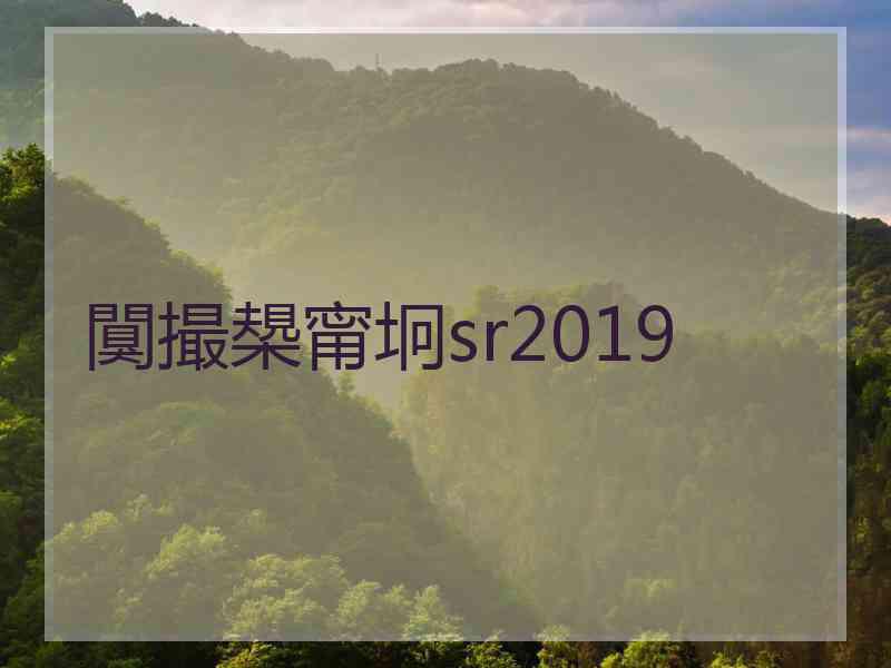 闃撮槼甯坰sr2019