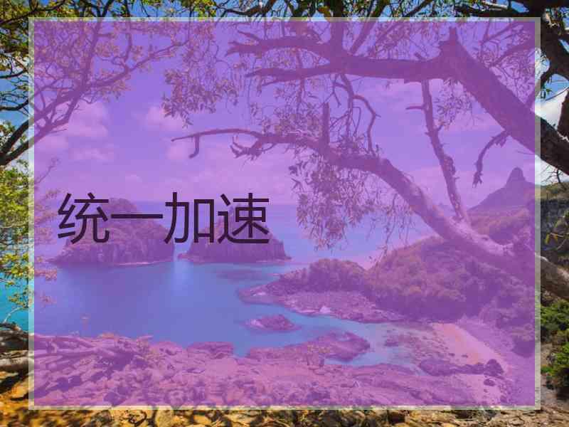 统一加速