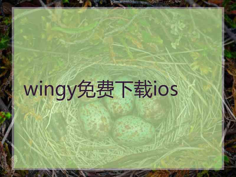 wingy免费下载ios