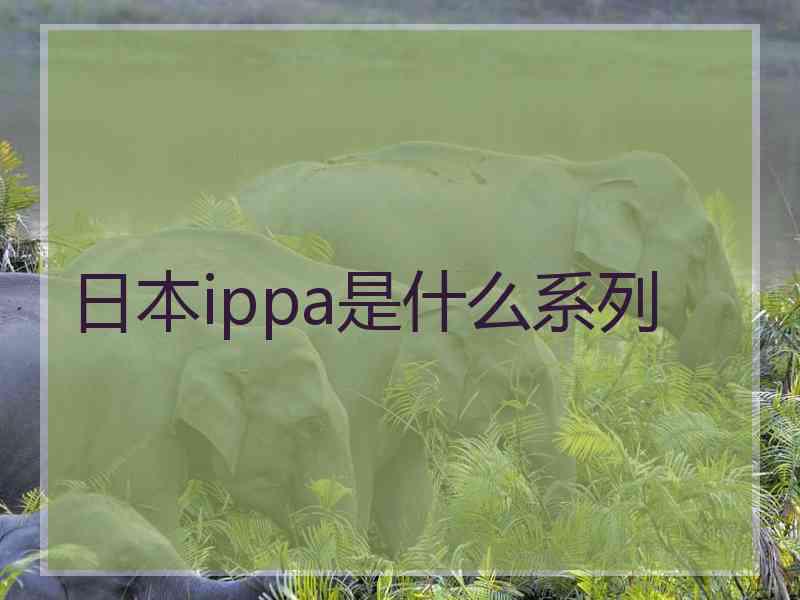 日本ippa是什么系列