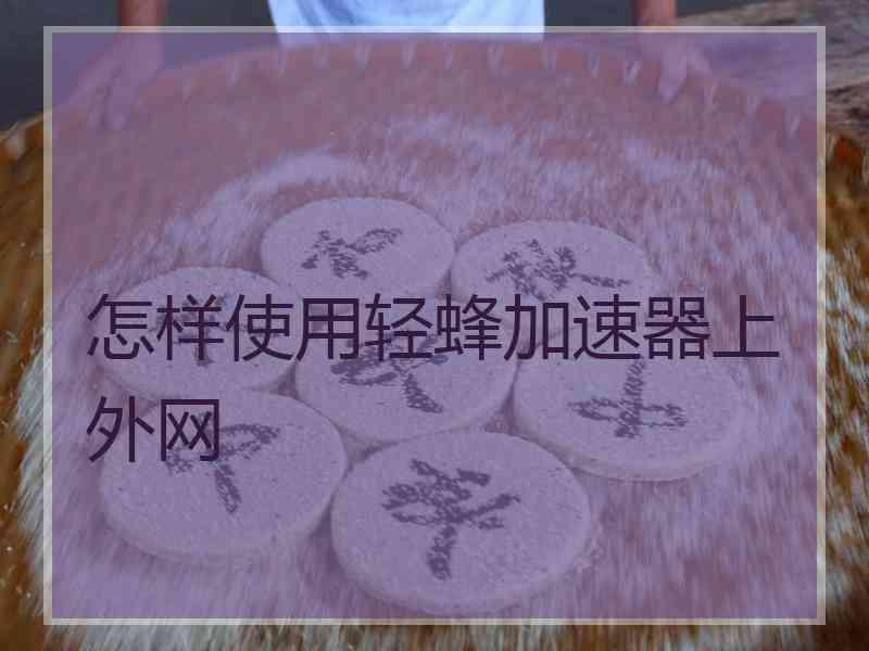 怎样使用轻蜂加速器上外网
