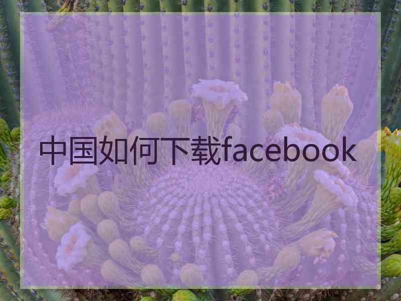 中国如何下载facebook
