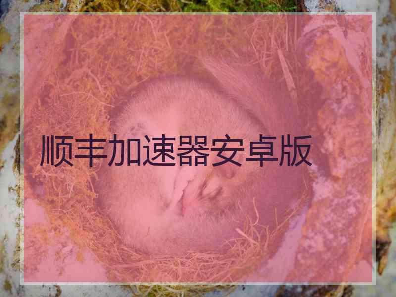 顺丰加速器安卓版