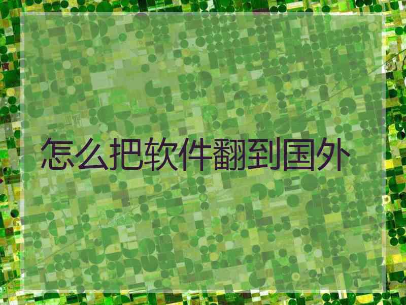 怎么把软件翻到国外