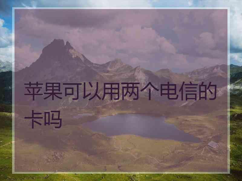 苹果可以用两个电信的卡吗