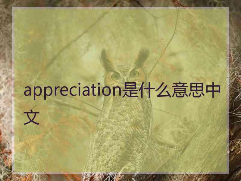 appreciation是什么意思中文