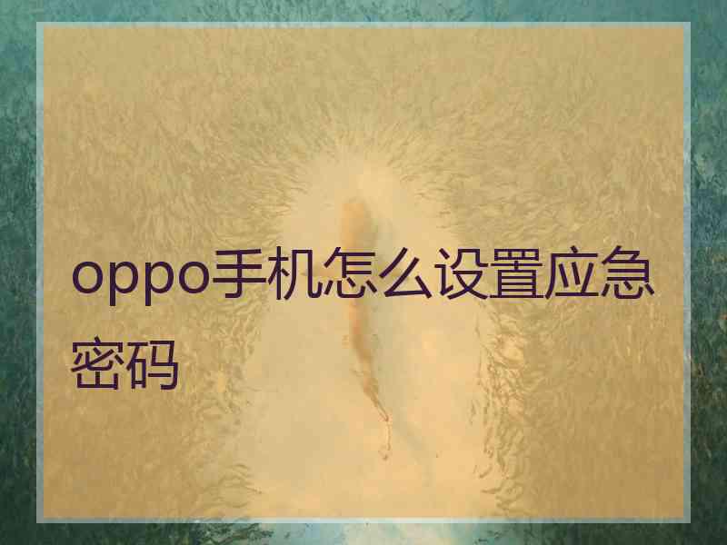 oppo手机怎么设置应急密码