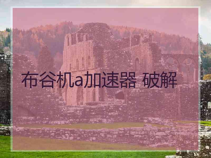 布谷机a加速器 破解