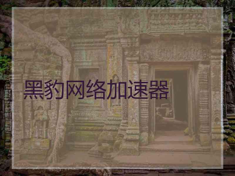 黑豹网络加速器