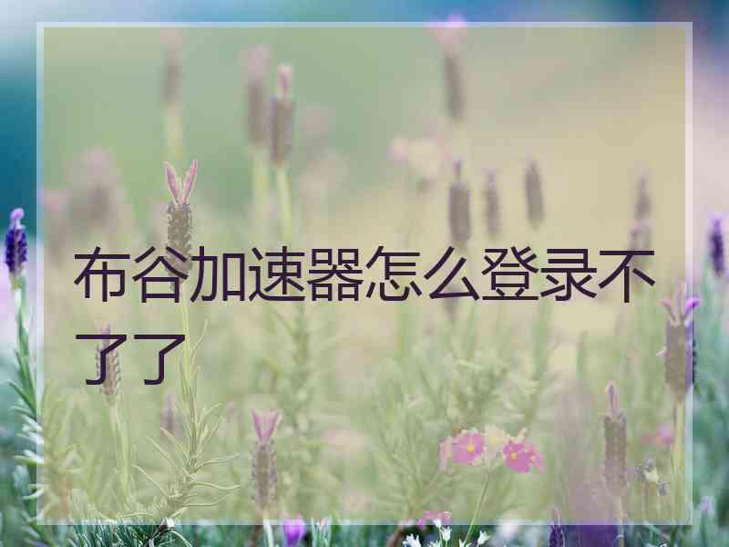 布谷加速器怎么登录不了了
