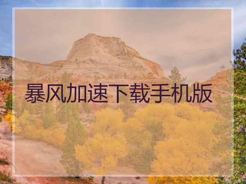 暴风加速下载手机版