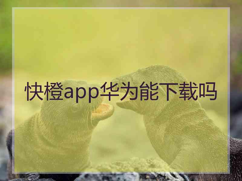 快橙app华为能下载吗