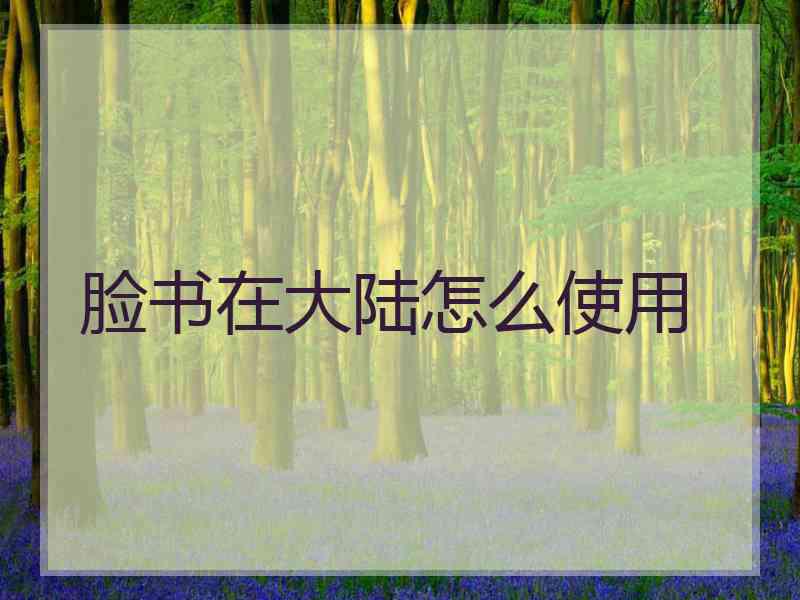 脸书在大陆怎么使用
