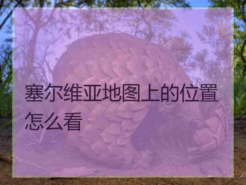 塞尔维亚地图上的位置怎么看