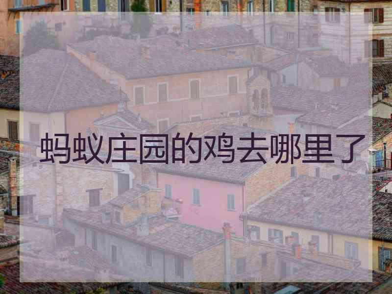 蚂蚁庄园的鸡去哪里了