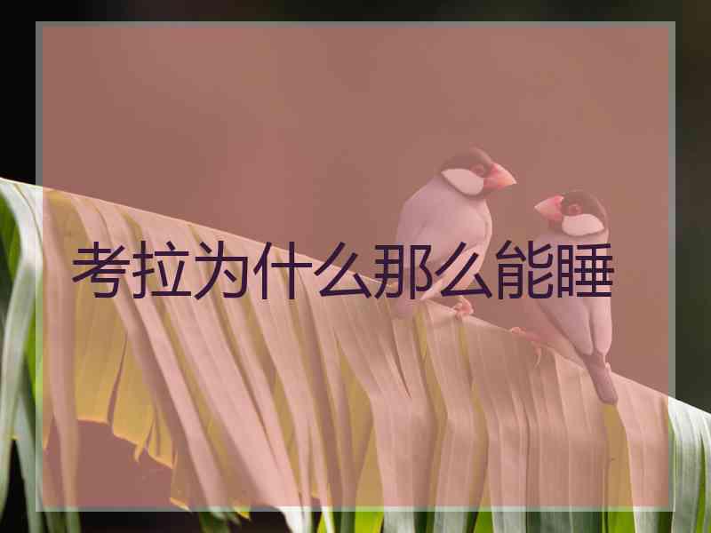 考拉为什么那么能睡