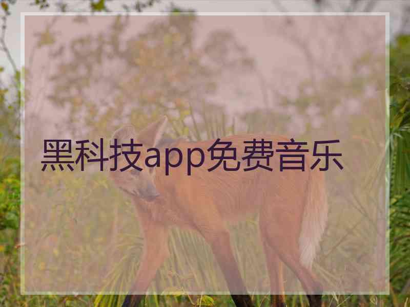 黑科技app免费音乐