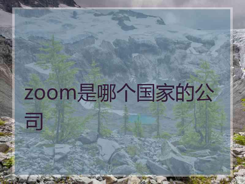 zoom是哪个国家的公司
