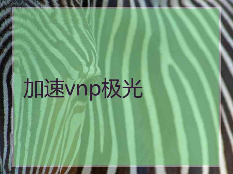 加速vnp极光