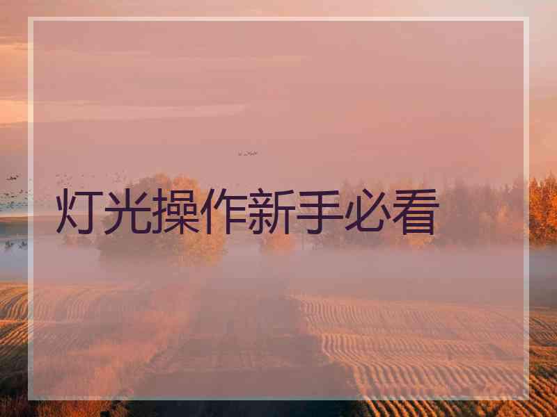 灯光操作新手必看