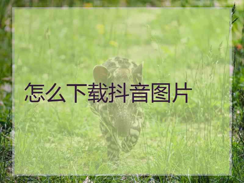 怎么下载抖音图片