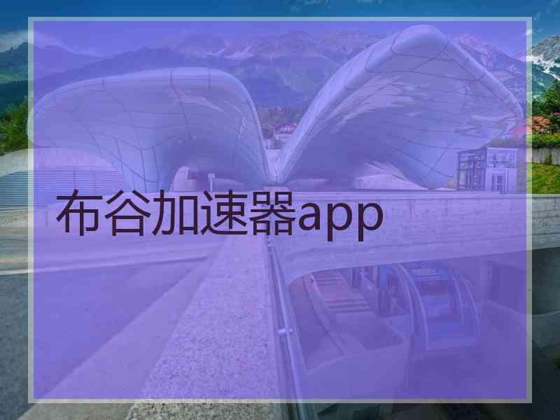 布谷加速器app