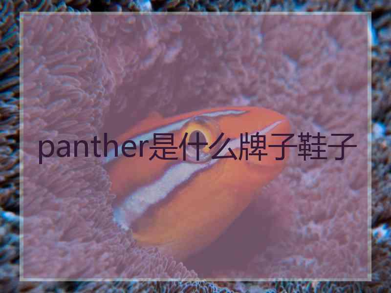 panther是什么牌子鞋子